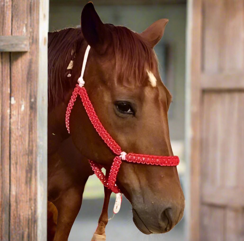 Chestnut horse in a stable wearing a red Pattered Rope Halter designed and crafted by L'Equino Essentials