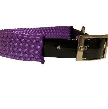 PVC dog collar purple close up on a white background