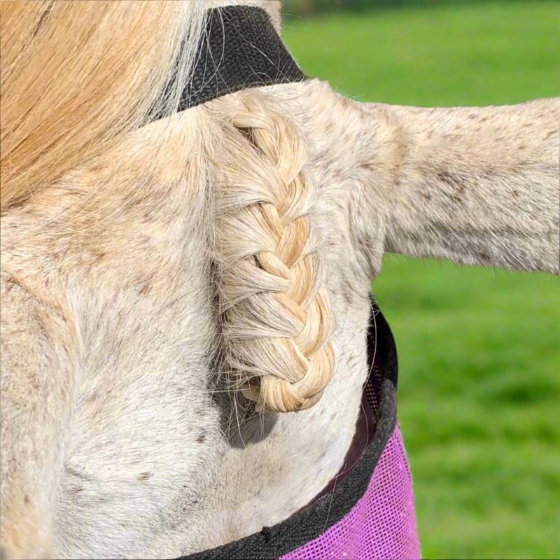 Close up image of a forelock braid done by L'Equino Essentials Equine Braiding Service on a grey horse