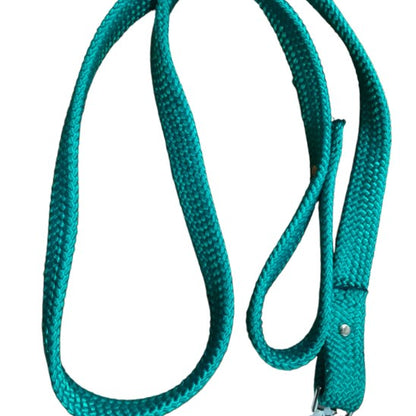 Green PVC Dog Leashes from LEquino Essentials