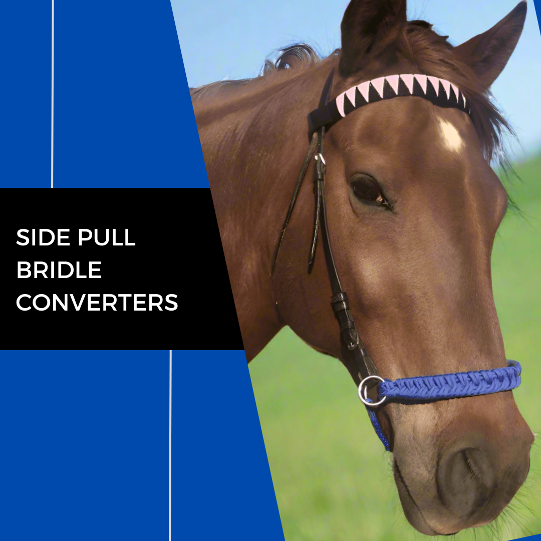 Chestnut horse wearing side pull bridle converter