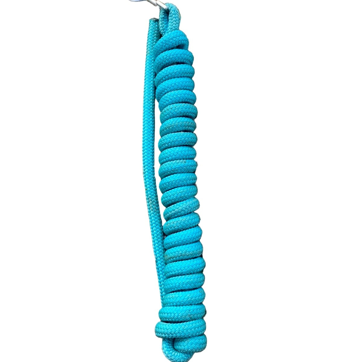Turquoise horse lead rope with a metal clip on a white background