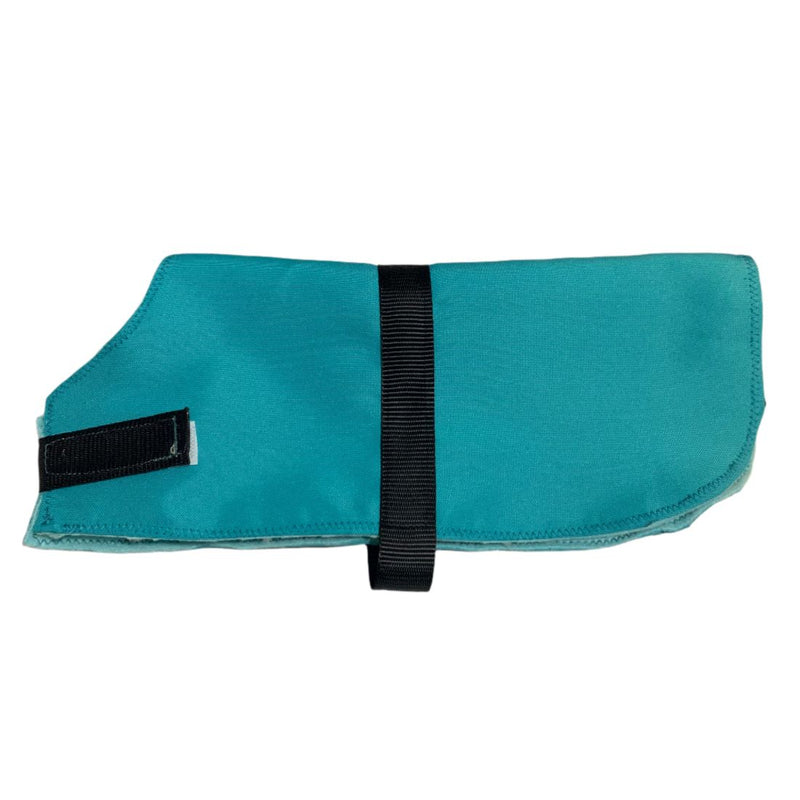 Teal dog coat with black straps on a white background