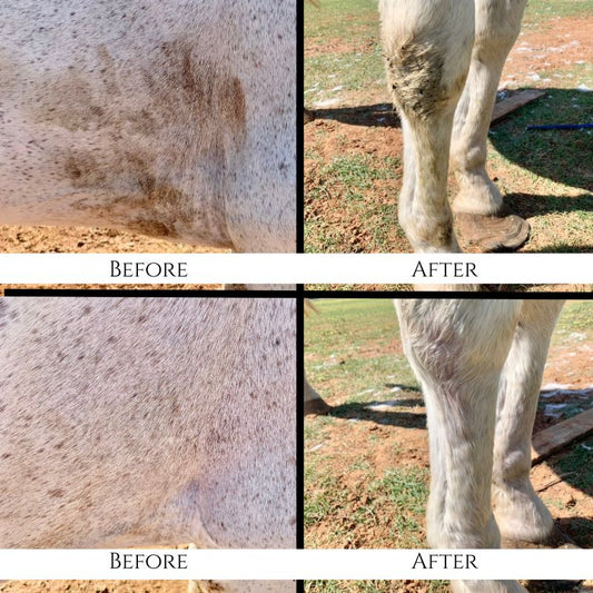Before and after comparison of a horse's leg with visible dirt and grass on a farm setting.