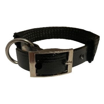 Buckle close up on black PVC dog collar on a white background