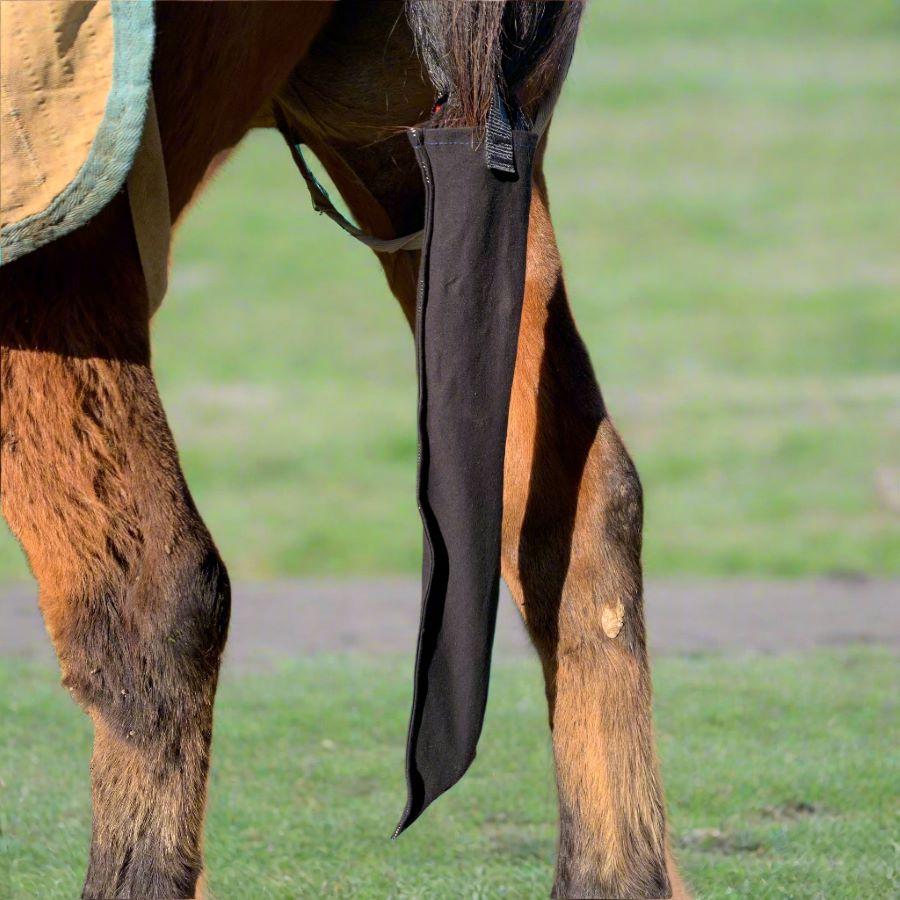 Black tie in stretch tail back on bay horse