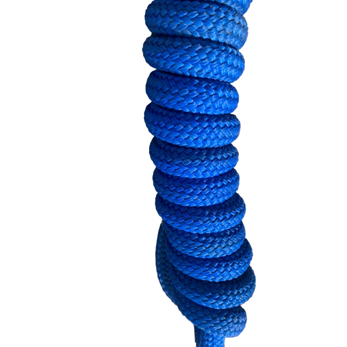 Coiled blue training lead rope on a white background