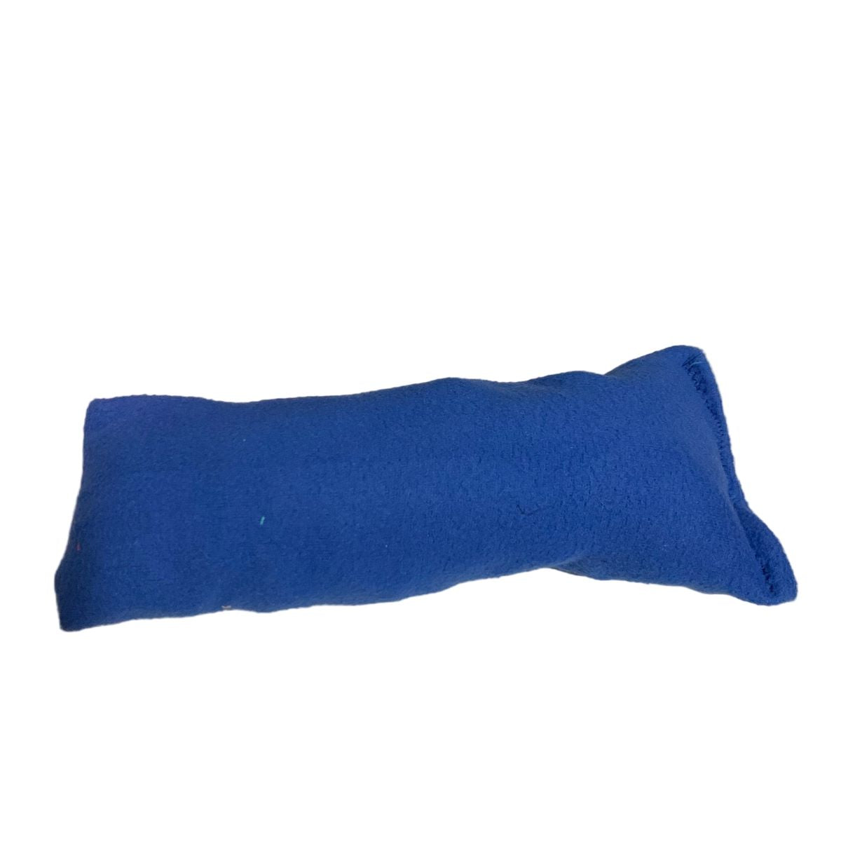 Blue plush dog toy on a white background