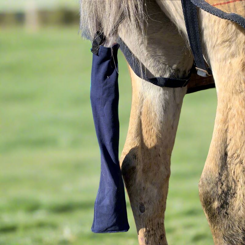 Grey horse wearing a blue tie in stretch tail bag