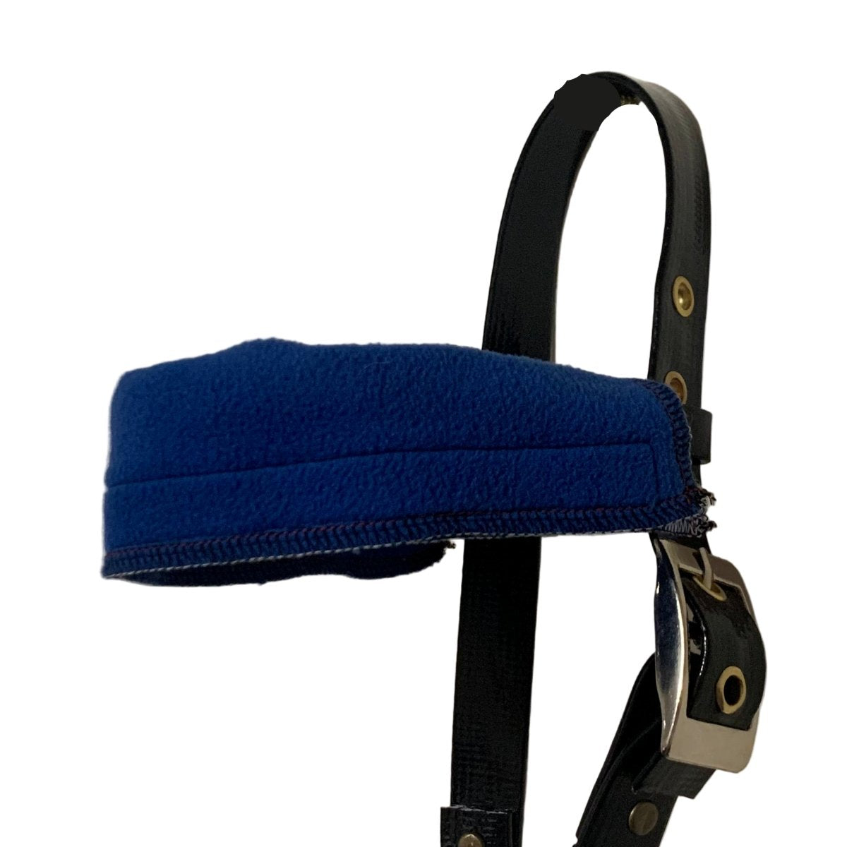 Blue fleece browband cover on a black bridle made by L'Equino Essentials against a white background