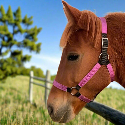 Chestnut horse wearing purple glittery horse halter made by L'Equino Essentials