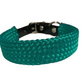 PVC green dog collar close up on a white background