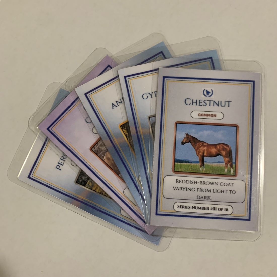 Collection of trading cards featuring a chestnut horse on a white background