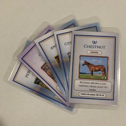 Collection of trading cards featuring a chestnut horse on a white background