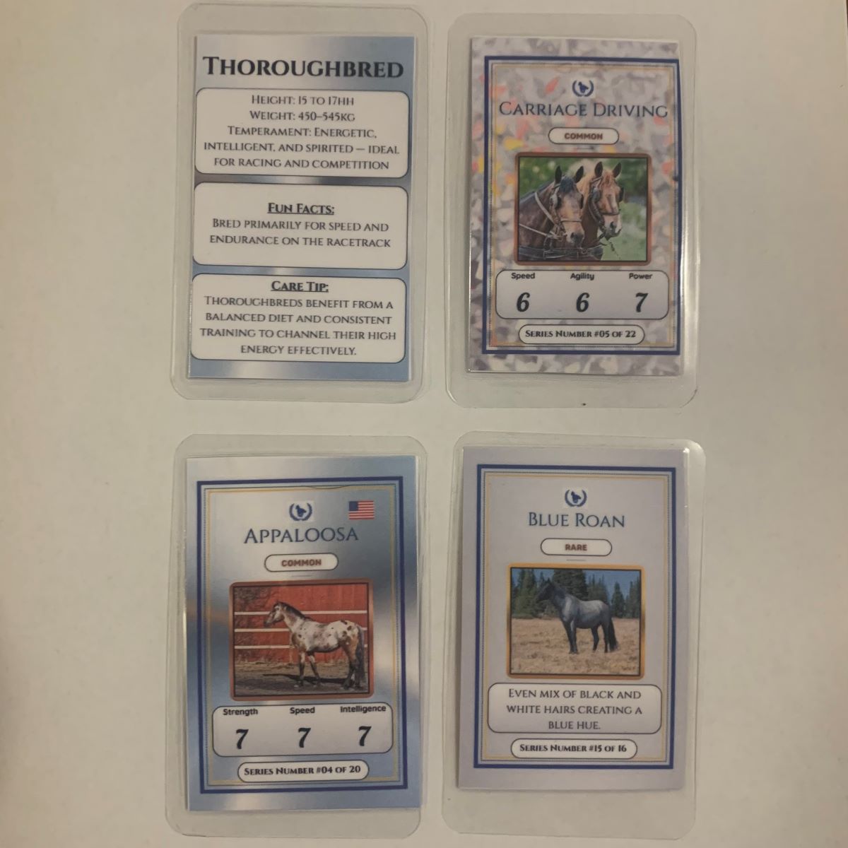 Four horse-themed cards on a white background