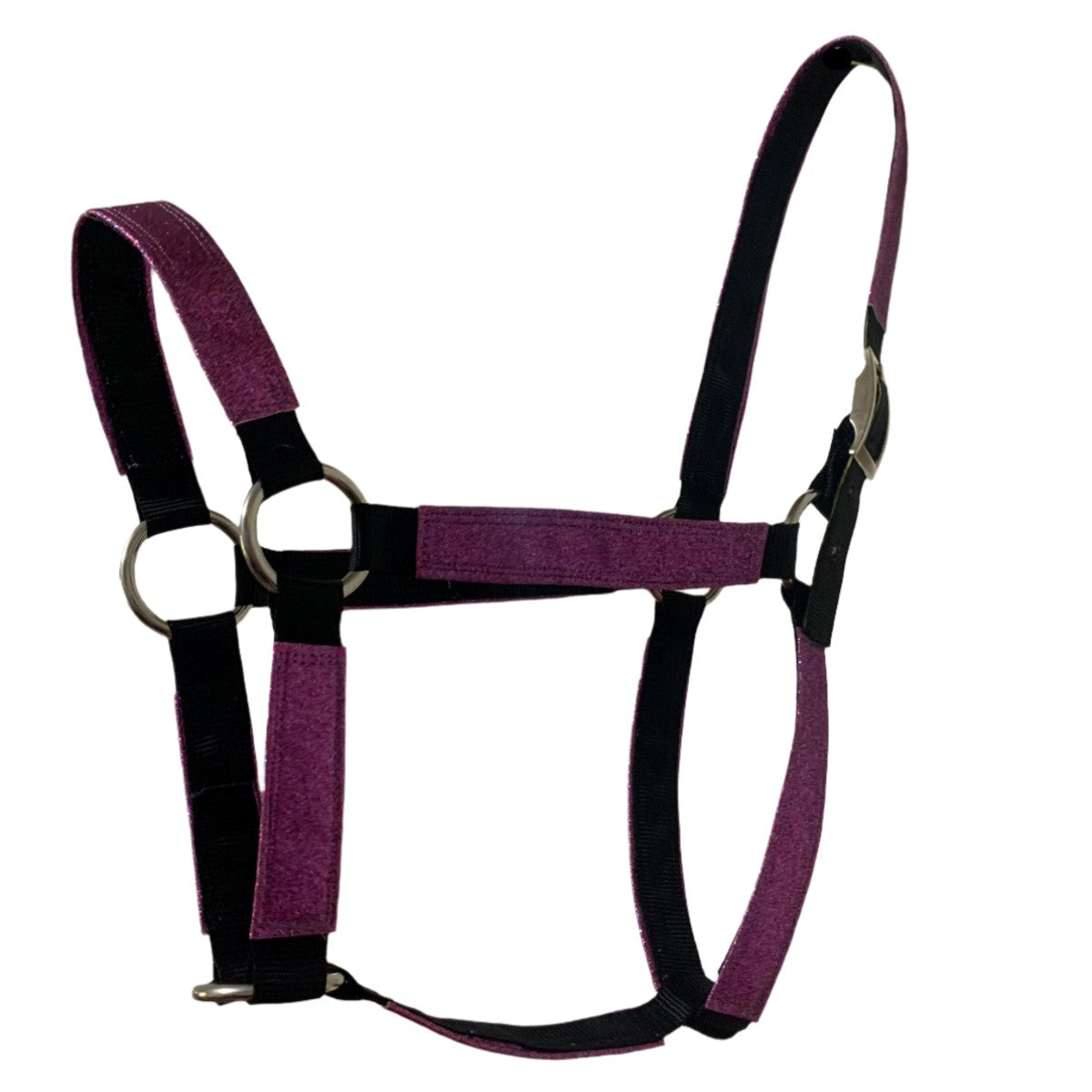 Purple glitter horse halter on a white background