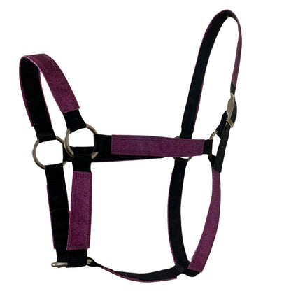 Purple glitter horse halter on a white background