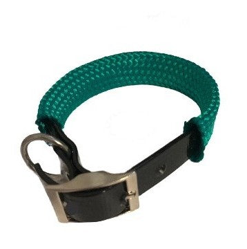Green PVC dog collar on a white background