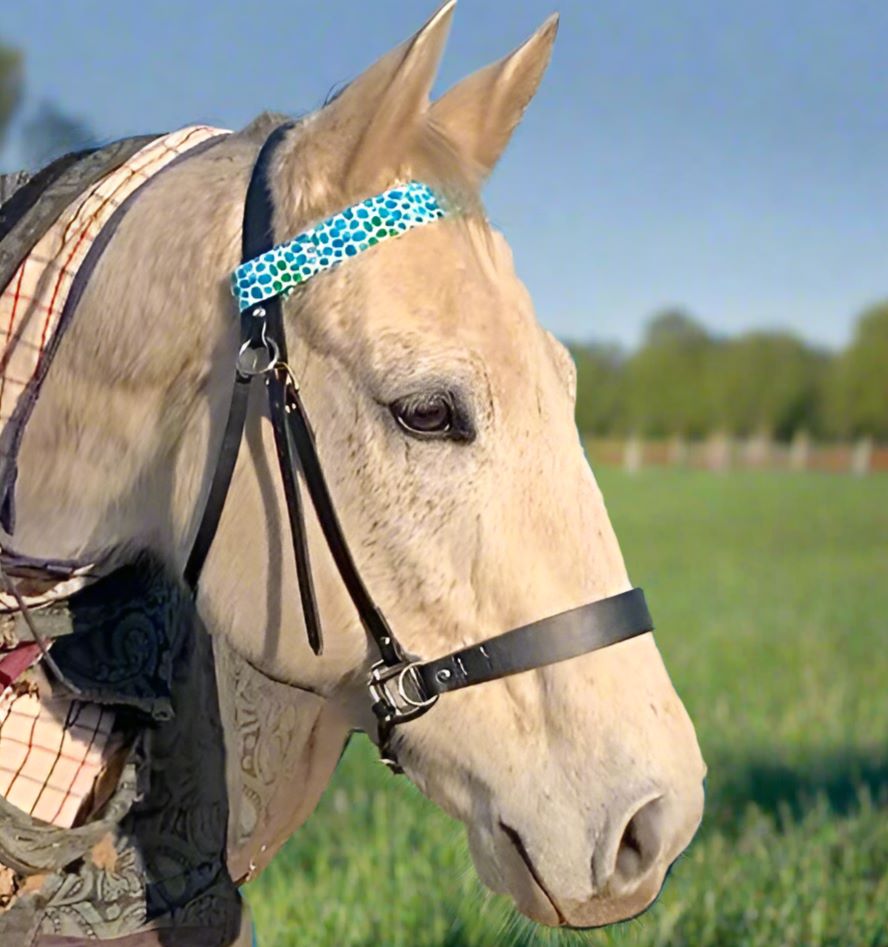 Horse wearing a bridle with a blue patterned cotton browband in a grassy field.
