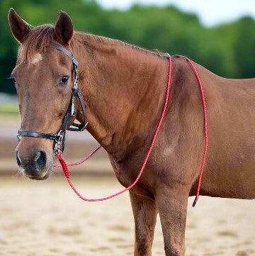 Leather Side Pull Bridle