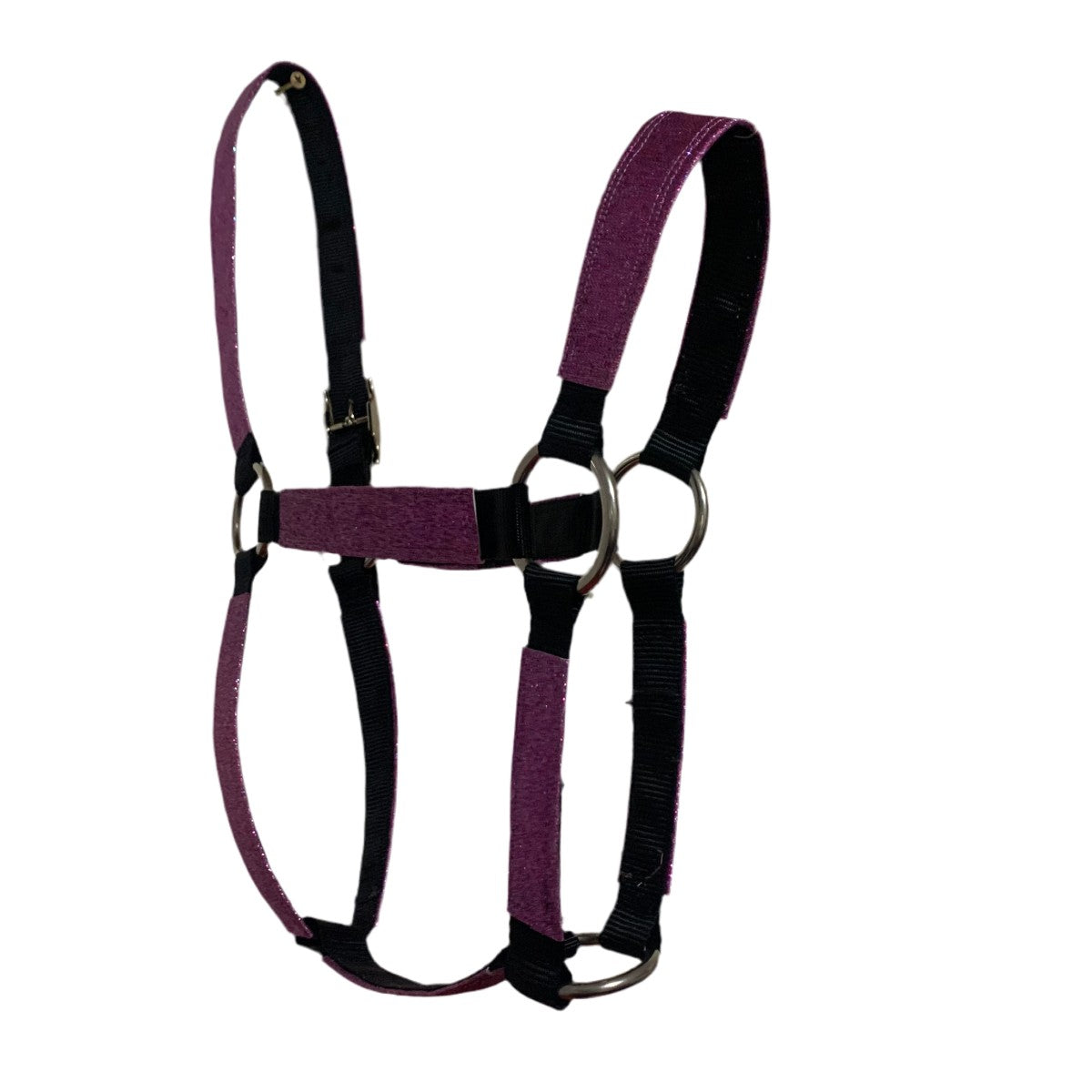 Purple and black horse halter on a white background