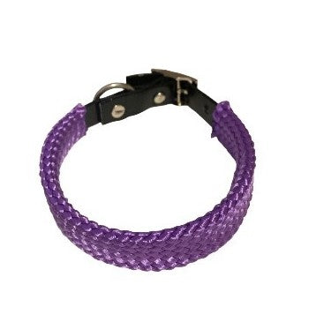 Purple PVC dog collar made by L'Equino Essentials on a white background