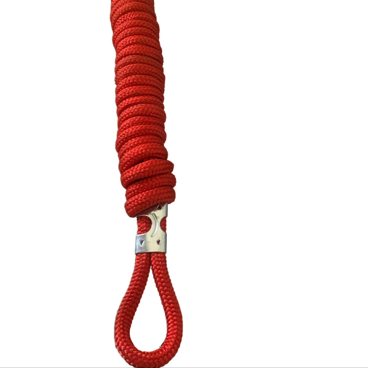 Red training lead rope on a white background