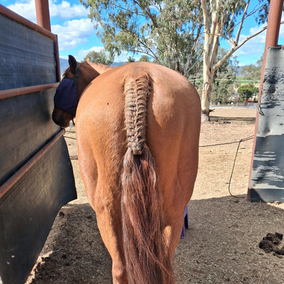 Equine Braiding & Show Preparation Services