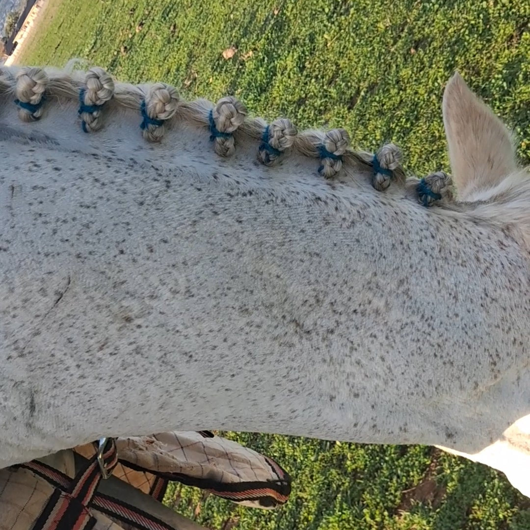 Equine Braiding & Show Preparation Services