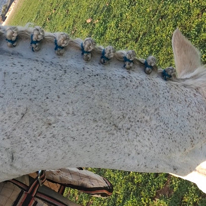 Equine Braiding & Show Preparation Services