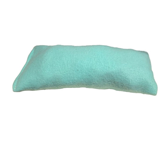 Turquoise plush dog chew toy on a white background